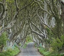 Game of Thrones®: Ein eigenes Universum in Irland