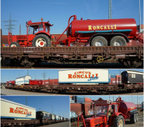 Der Circus Roncalli rollt in Ludwigsburg an! Der Circus Roncalli rollt in Ludwigsburg an!