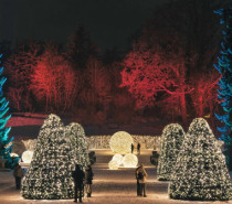 Christmas Garden Stuttgart: Fantastischer Winterspaziergang in traumhafter Kulisse in der Wilhelma