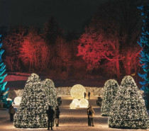 Christmas Garden Stuttgart: Fantastischer Winterspaziergang in traumhafter Kulisse in der Wilhelma Christmas Garden Stuttgart: Fantastischer Winterspaziergang in traumhafter Kulisse in der Wilhelma