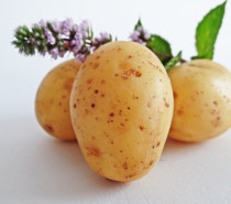 Zu Silvester: Kartoffel-Orakel fürs neue Jahr & Kartoffel-Cupcakes fürs Buffet