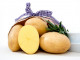 Grippezeit: Die Kartoffel als Gesundheitshelfer