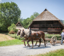 Das Schwarzwälder Freilichtmuseum Vogtsbauernhof − Über 600 Jahre Schwarzwald erfahren, entdecken, erleben