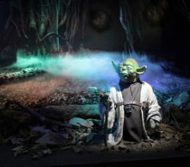 May the Fourth be with you: Das Yoda-Museum in St. Maarten May the Fourth be with you: Das Yoda-Museum in St. Maarten