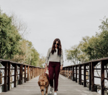 Raus mit dem Hund: Beim Gassi gehen die Augen vor der Sonne schützen Raus mit dem Hund: Beim Gassi gehen die Augen vor der Sonne schützen