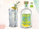 BOAR GNZERO – Die weltweit erste alkoholfreie Gin-Alternative in BIO-Qualität