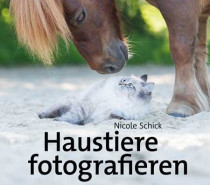 Haustiere fotografieren: Ideen und Tipps für tolle Bilder von Hund, Katze, Pferd und Kleintieren