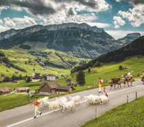 Schweizer Traditionen und gelebtes Brauchtum – Die lokale Kultur authentisch und nachhaltig erleben Schweizer Traditionen und gelebtes Brauchtum – Die lokale Kultur authentisch und nachhaltig erleben