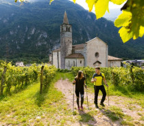 Wine-Trekking und Wandern: Mediterranes Küstenfeeling im Trentino