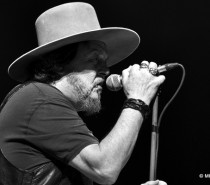 Zucchero – Der italienische Bluesman ist wieder in Stuttgart