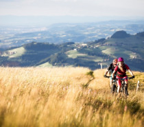 Downhill-Action oder Panorama-Tour mit Käse-Fondue? Auf ins Bike-Paradies Freiburger Voralpen!