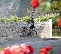 Weinerlebnisse im Trentino
