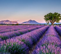 Reisen in der Trendfarbe 2023: Die weltweit schönsten Orte in „Digital Lavender“