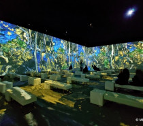 Ludwigsburg: Bereits weit über 25.000 begeisterte Besucher bei „Van Gogh – The Immersive Experience“