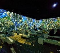 Van Gogh – The Immersive Experience! Van Gogh – The Immersive Experience!