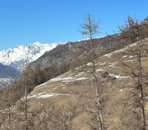 Historische Schneearmut in den Alpen führt zu Wassermangel – Trockenheit nimmt zu