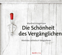 Manfred Kriegelstein: Die Schönheit des Vergänglichen