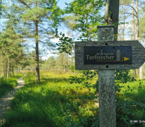 Trockenheit und Hitze bedrohen Moore in Baden-Württemberg