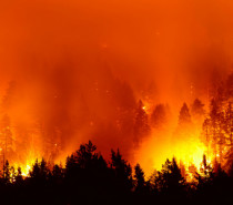 Hitze entzündet keine Waldbrände: Rekordsommer in Südeuropa