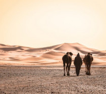 Reisefotografie erlernen bei Fotoworkshops in Marokko