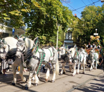 Der große Volksfestumzug zum 176. Cannstatter Volksfest fand bei bestem Wetter statt