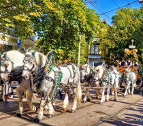 Die Geschichte des Cannstatter Volksfestes Die Geschichte des Cannstatter Volksfestes
