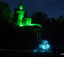 Leuchtende Traumpfade im Blühenden Barock vom 28.10. bis 03.12.2023