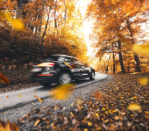 Autofahren im Herbst: Trotz Nebel, Nässe und Laub sicher unterwegs