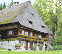 Wenn’s klappert und klopft: Ein Ausflug zu den historischen Mühlen im Hochschwarzwald Wenn’s klappert und klopft: Ein Ausflug zu den historischen Mühlen im Hochschwarzwald