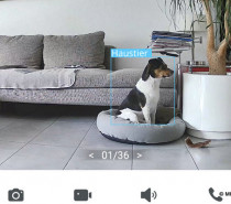 Smart-Home-Anwendungen in fast jedem zweiten Zuhause Smart-Home-Anwendungen in fast jedem zweiten Zuhause