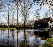 Van Gogh erhält einen eigenen Nationalpark Van Gogh erhält einen eigenen Nationalpark