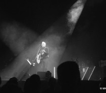 Rainhard Fendrich in Stuttgart – Ein Abend zwischen Ironie, Identität und Emotion Rainhard Fendrich in Stuttgart – Ein Abend zwischen Ironie, Identität und Emotion