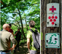 Lemberg trifft Lemberger: Natur trifft Genuss Lemberg trifft Lemberger: Natur trifft Genuss