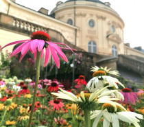 HOME & GARDEN feiert Jubiläum auf Schloss Solitude – Sommerliches Lifestyle-Highlight vom 14. bis 17. August 2025 HOME & GARDEN feiert Jubiläum auf Schloss Solitude – Sommerliches Lifestyle-Highlight vom 14. bis 17. August 2025