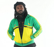 THE WAILERS sind zurück THE WAILERS sind zurück
